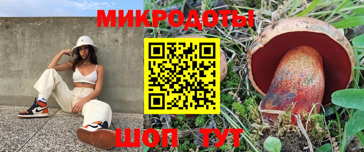 Псилоцибиновые грибы Magic Shrooms Майкоп
